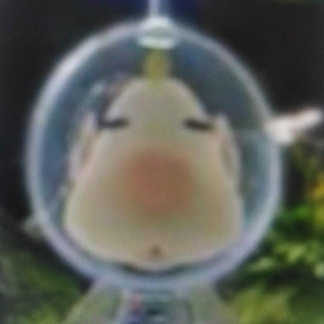 Louie (Pikmin)