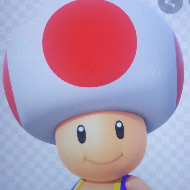 Toad