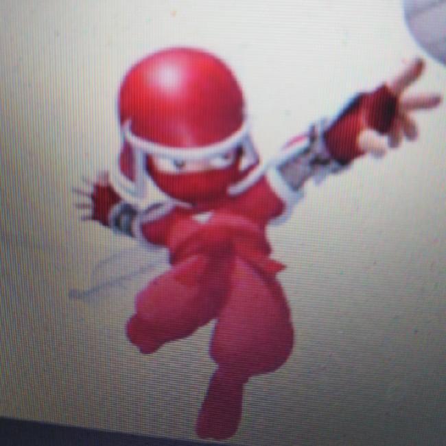 Ninja