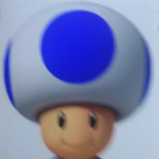 Toad bleu