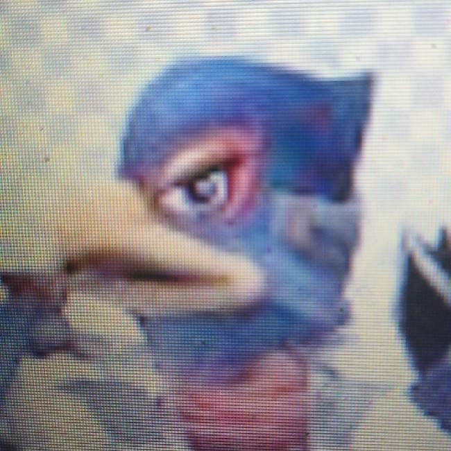 Falco