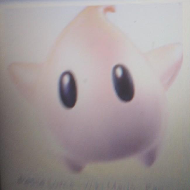 Petite luma