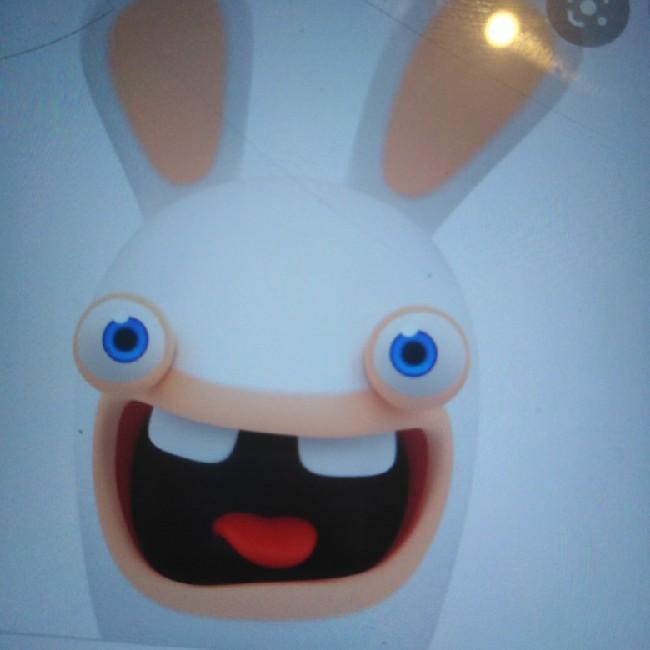 Lapin crétin