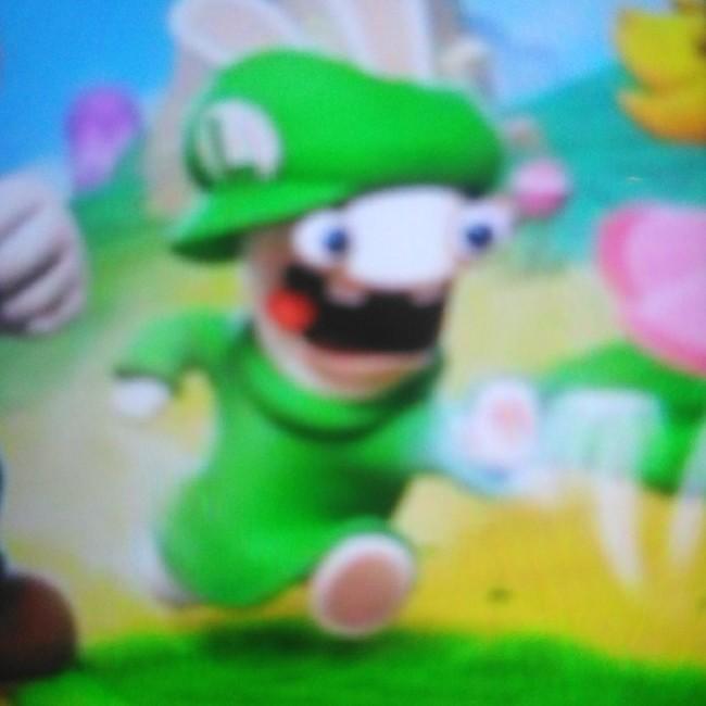Lapin crétin Luigi