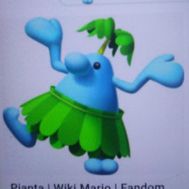 Pianta