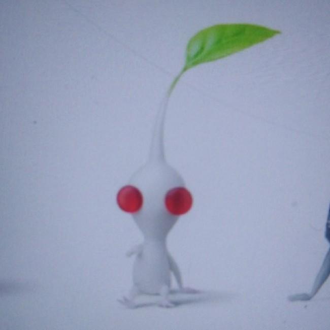Pikmin blanc