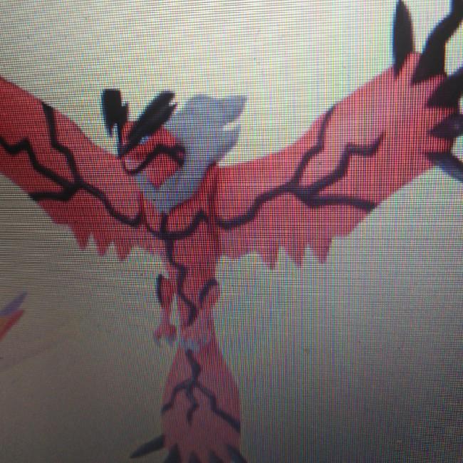 Yveltal