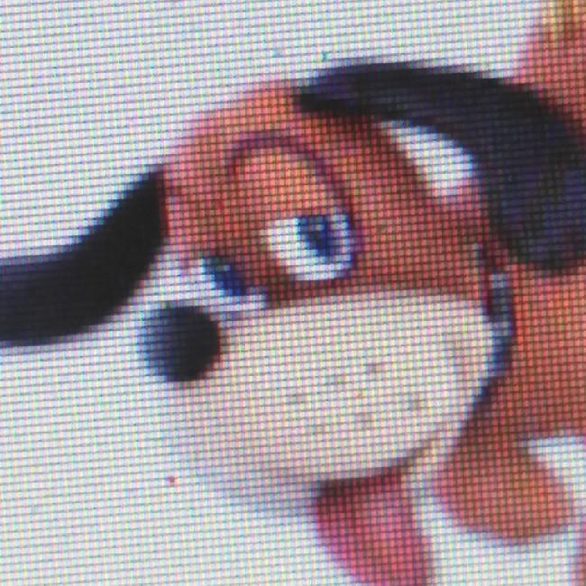 Duck Hunt