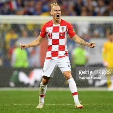 Domagoj Vida