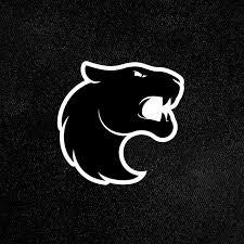 FURIA Esports
