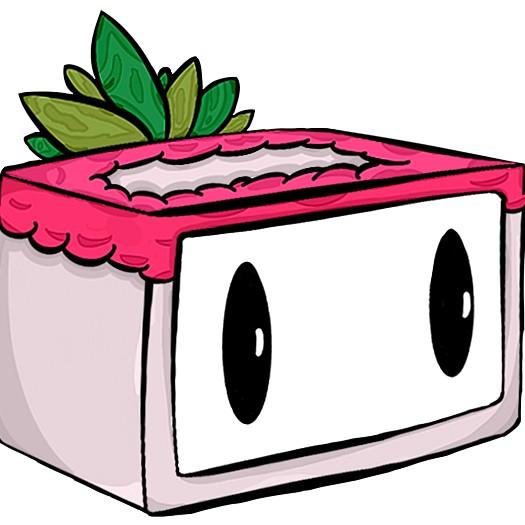 Raspberry Racers