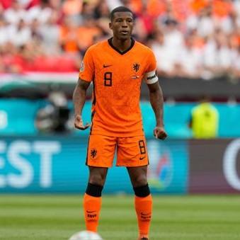 georginio wijnaldum