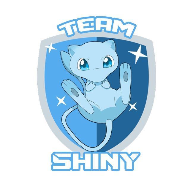 Team Shiny