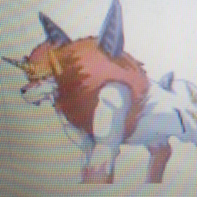 Dorulumon