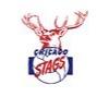 Chicago Stags