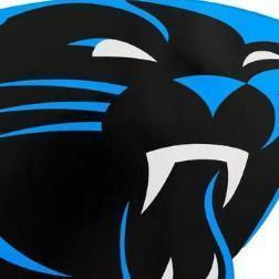 Carolina Panthers