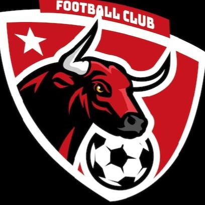 Bullscity