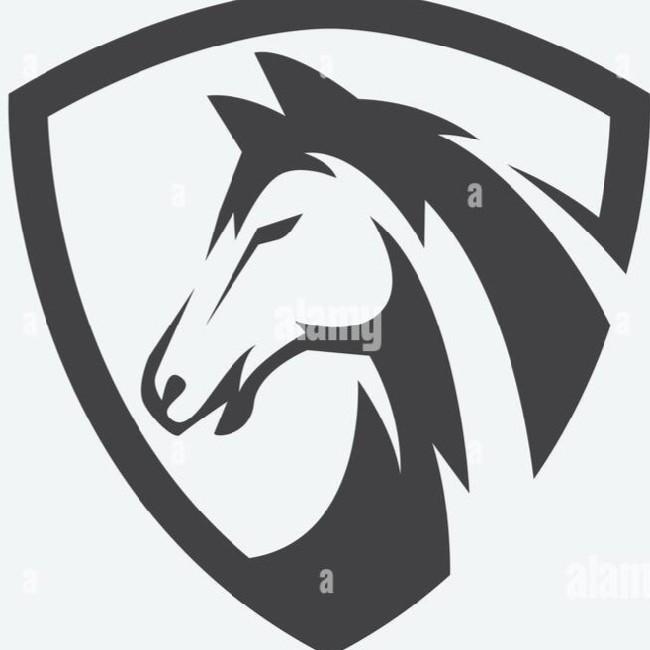 Horsecity