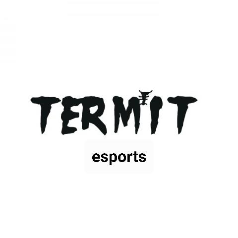 Term'it Esports