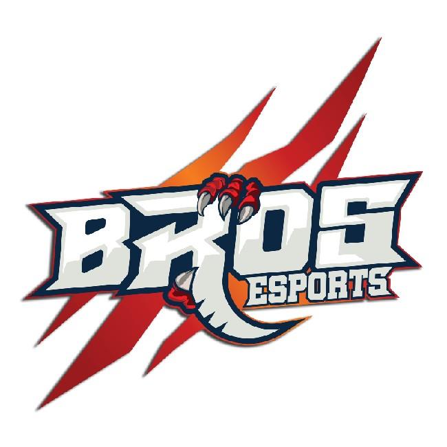 BRO'S E-SPORT MY ( MAS 🇲🇾 )