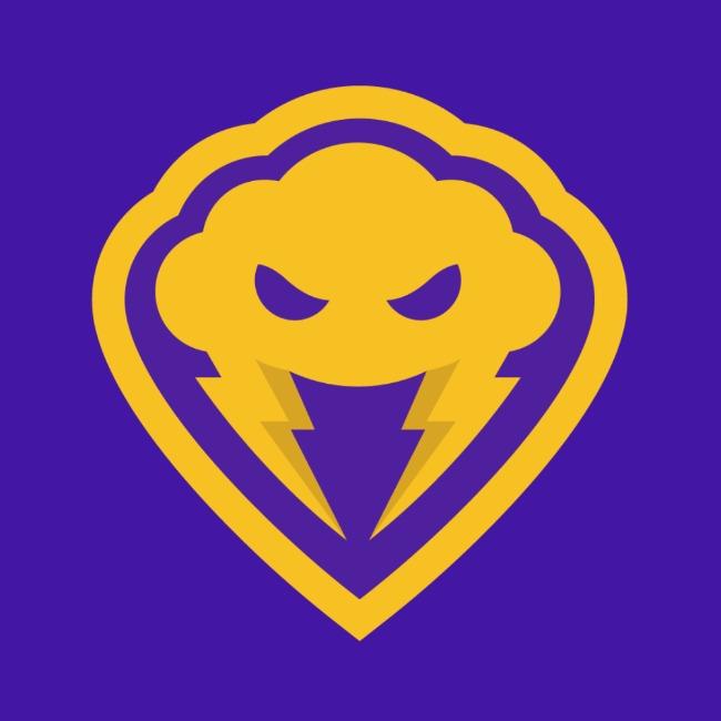 ESTORM
