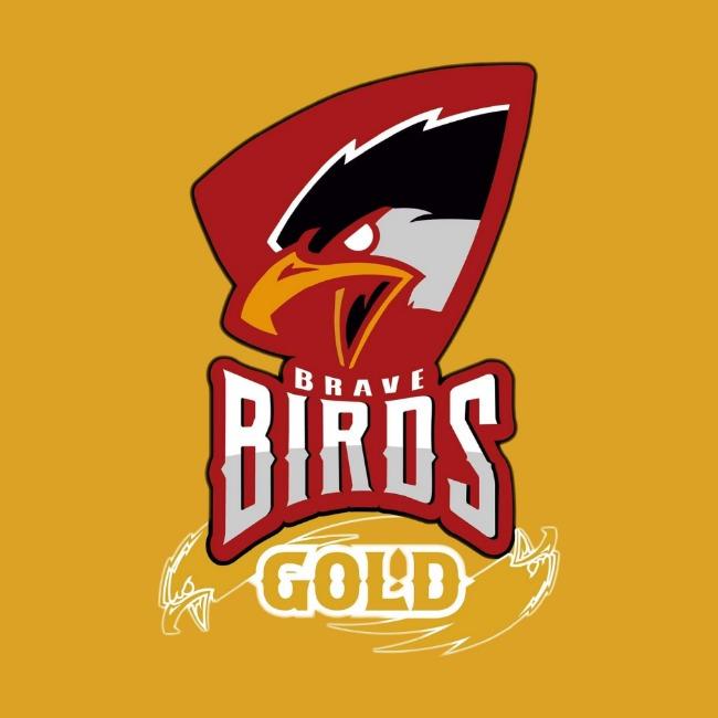 BRAVE BIRDS GOLD