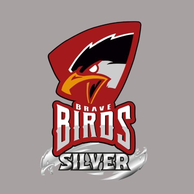 BRAVE BIRDS SILVER