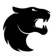 Furia