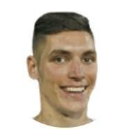 Nikola Milenković