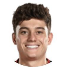 Daniel James