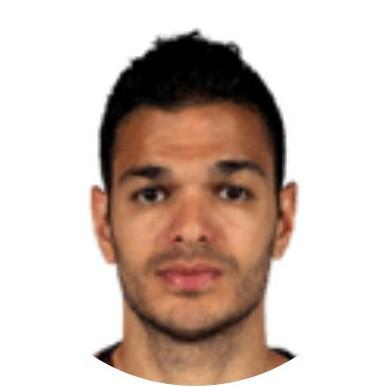 Hatem Ben Arfa