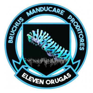 Eleven Orugas