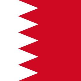 [AFC] Bahrein