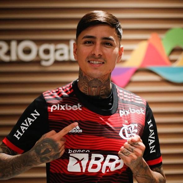 Erick Pulgar