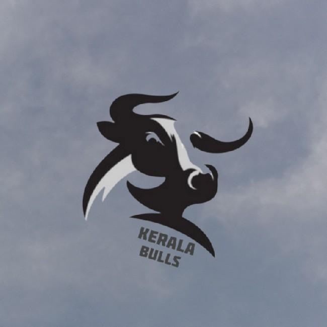 KERALA BULLS