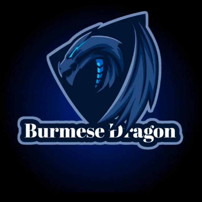 Burmese Dragon
