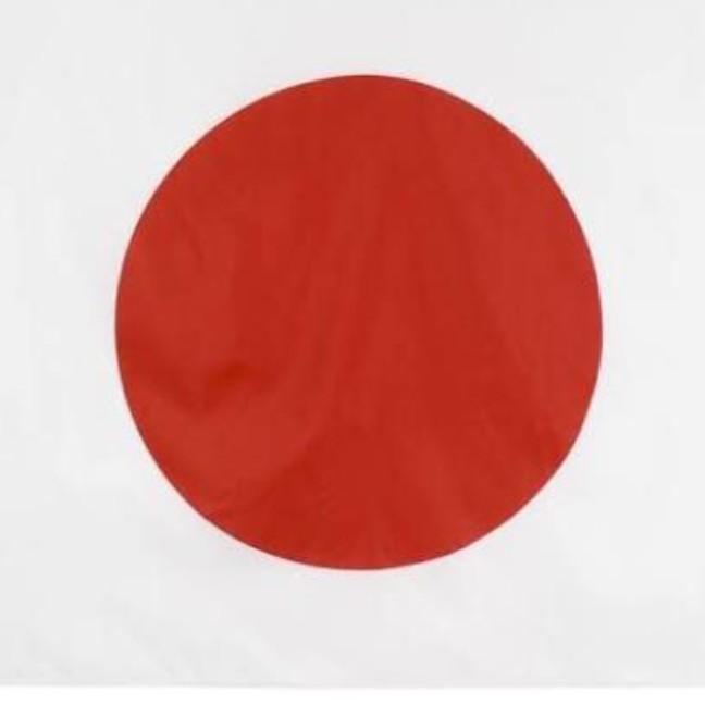 私は日本人ではありません