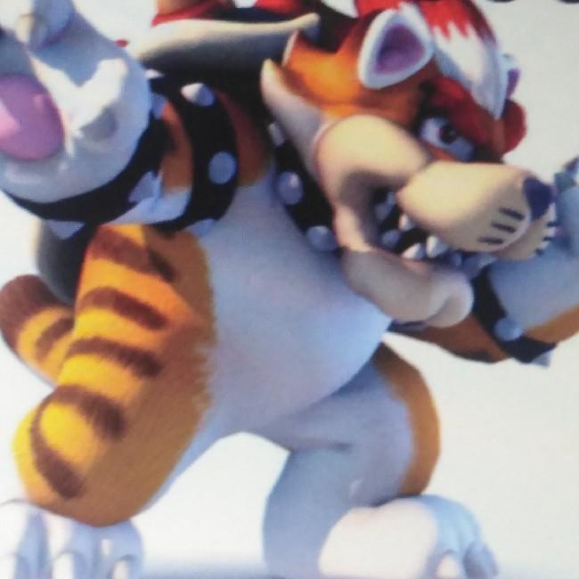 Bowser Chat