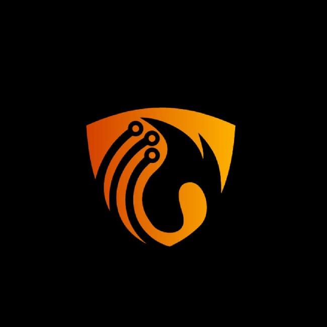 BOA ESPORTS