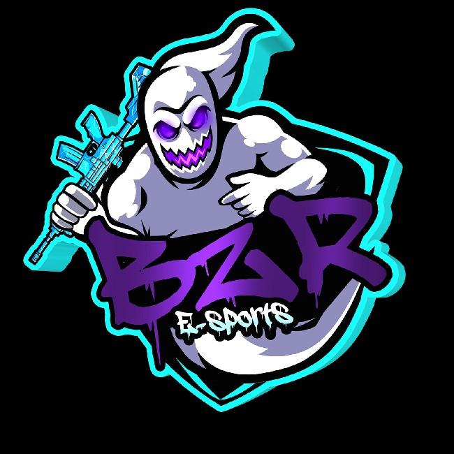 BZR E-SPORTS/ bzr