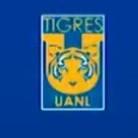 Tigres