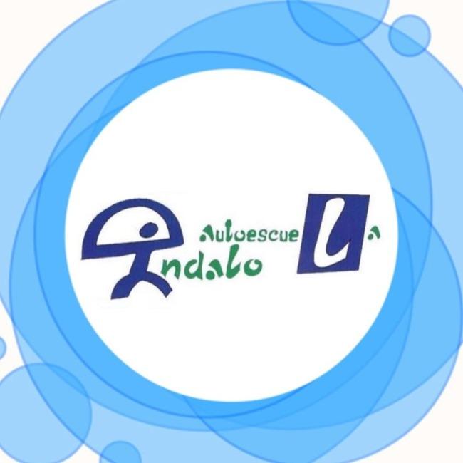 Autoescuela Indalo