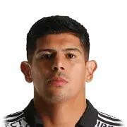 Pavez