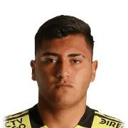 Fierro