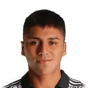 D. Pizarro