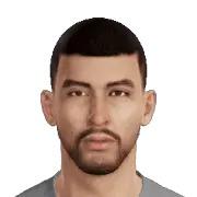 Novillo