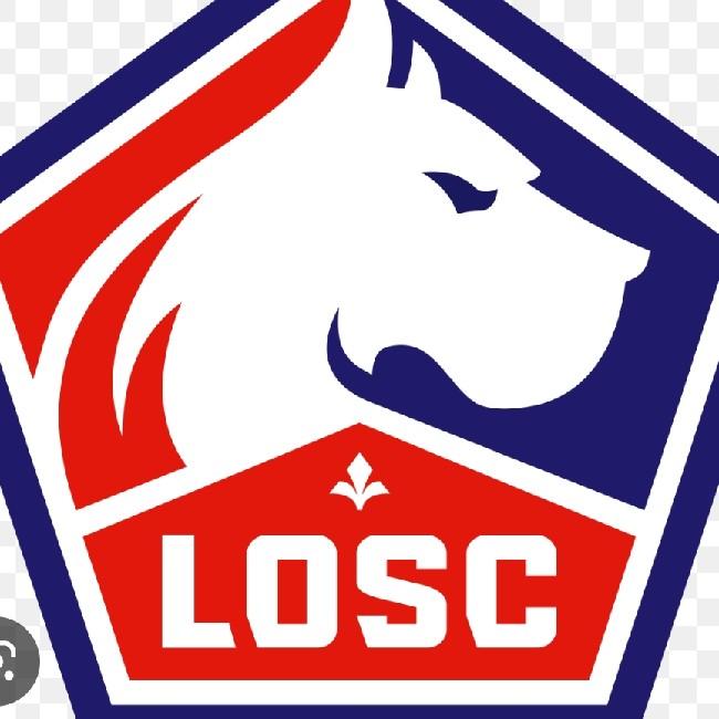Losc Lille