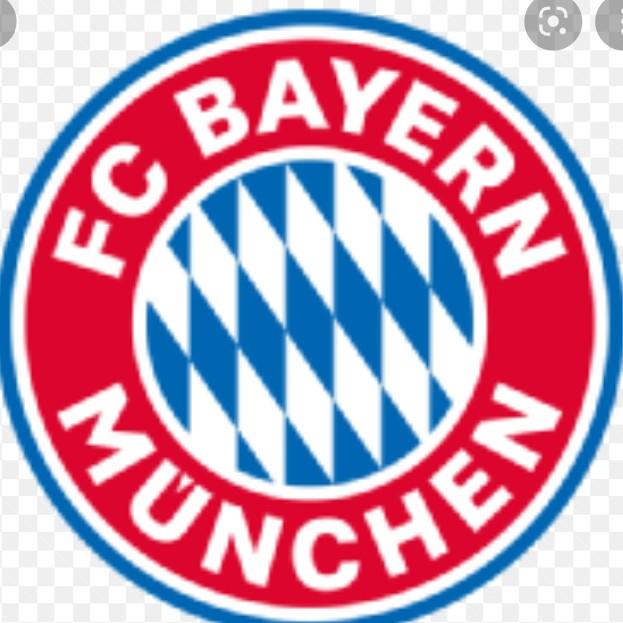 Bayer de munique