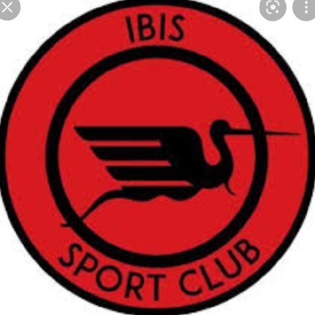 Ibis