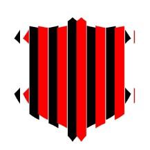 FLIN FC